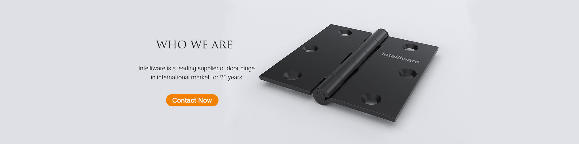 Door Hinge CPC Landing Page Banner